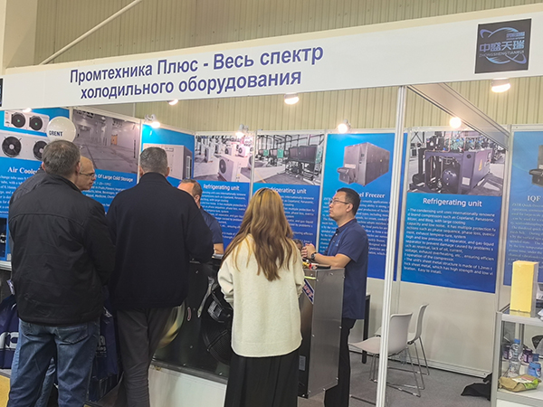 Изображение 15 для Российская выставка