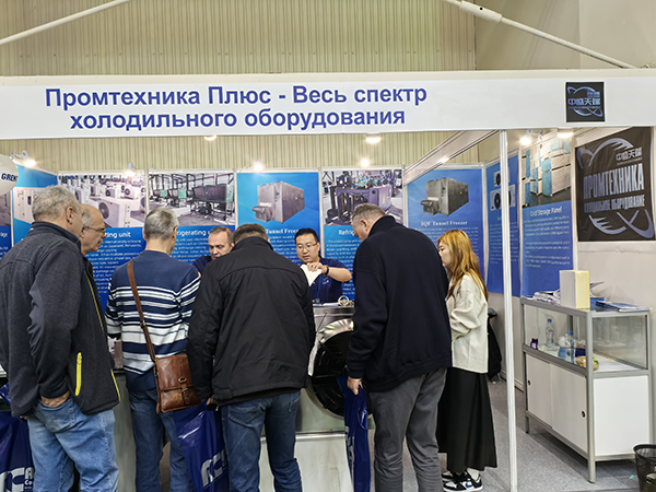 Изображение 10 для Российская выставка